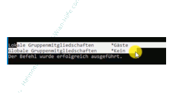 Windows 10 Tutorial - Den Benutzer Gast im Anmeldebildschirm von Windows 10 Professionell anzeigen! - Anzeige der lokalen Gruppenmitgliedschaften eines Benutzers 