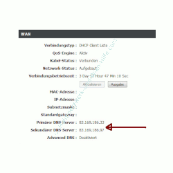 Netzwerk Tutorial: DNS-Serverprobleme beheben - Anzeige des zugewiesenen DNS-Servers im Konfigurationsmenü des Routers