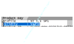Windows 10 - PID-Checker Tutorial: Anzeige validity, die anzeigt, ob der eingegebene Windows-Schlüssel gültig oder ungültig ist