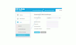  TP-Link Archer VR900v – Die DynDNS-Einstellungen konfigurieren