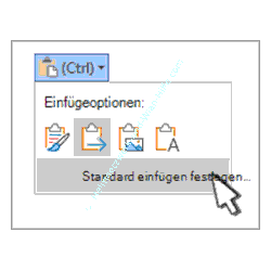 Office Word Tutorial - Anzeige der Einfügeoptionen in Word deaktivieren: Darstellung der Einfügeoptionen