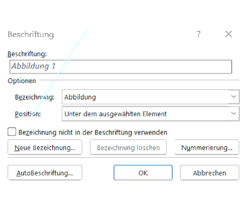 Das Konfigurationsfenster für individuelle Einrichtung der Abbildbeschriftungen