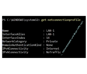 Der Befehl Get-NetConnectionProfile und dessen Ausgabe