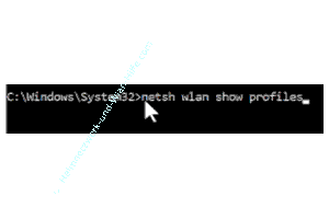 Der Befehl netsh wlan show profiles