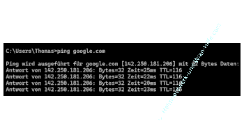 Die Internetverbindung zu einer Webadresse mit ping pruefen 