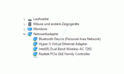 Windows 10 Netzwerk Tutorial - Woran kann es liegen, dass keine Wlan-Netzwerke angezeigt werden? - Die Rubrik Netzwerkadapter im Geräte-Manager 