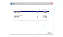 Windows 10 Tutorial - Windows 10 ohne Microsoft-Konto installieren - Die zu installierende Windows 10 Version auswählen 