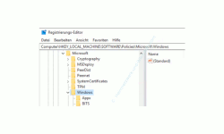 Windows 10 Tutorial - Den Sperrbildschirm (Home oder Professional) deaktivieren - Eingabe eines Schlüsselpfades in der Registry 
