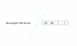 Windows 10 Netzwerk Tutorial - Problem: Kein Zugriff auf den Router möglich! – Feld zum Bearbeiten: Bevorzugter DNS-Server einer IP-Adresse