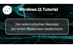 Neustart bei Bluescreen unter Windows 11 abstellen