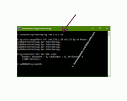 Ping-Anfragen in der Windows Firewall zulassen – Der Ping-Befehl an eine IP-adresse