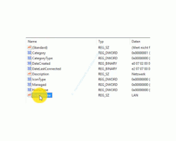 Windows 10 Netzwerk Tutorial – Registry Eintrag mit der Anzeige des Profilnamens Netzwerknamens
