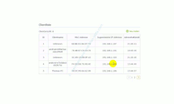  TP-Link Archer VR900v – Übersicht der vom DHCP-Server vergebenen IP-Adressen