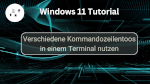Verschiedene Kommandozeilentoos in einem Terminal nutzen