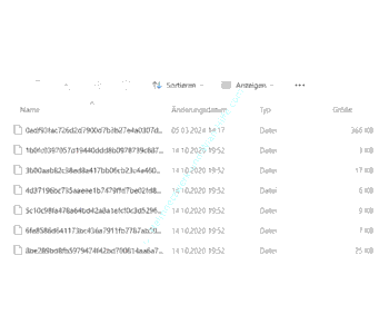 Windows-Bilder im Assets Ordner finden