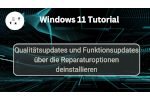 Windows Updates über das Reparatursystem deinstallieren