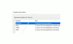 Windows 10 Tutorial - Nicht notwendige Dateien mit einer integrierten Funktion automatisch löschen! - Anzeige der vorhandenen Umgebungsvariablen 