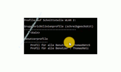 Windows 10 Netzwerk Tutorial - Wlan-Netzwerkeinstellungen ganz einfach auf einen anderen Computer übertragen! - Angezeigte Informationen über vorhandene Wlan-Profile 