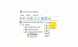 Windows 10 Tutorial - Lösung zum Fehler: Der Zugriff auf administrative Freigaben wird verweigert! - Ansicht aller Freigaben über die Computerverwaltung 