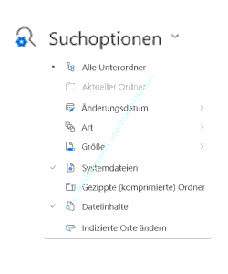 Die Anzeige der aktivierten Suchoptionen im Windows 11 Explorer