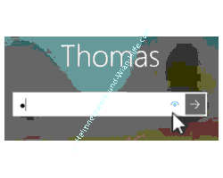 Windows 10 - Sicherheits Tutorial: Anzeige des Augen-Symbols, das bei der Eingabe des Passwortes angezeigt wird