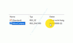 Windows 10 Tutorial - Such- und Sprachassistent Cortana unter Windows 10 Home deaktivieren - Der neu erstellte Registrierungsdatenbank Dword-Wert AllowCortana 