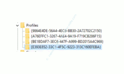 Windows 10 Netzwerk Tutorial – Der Registry Schlüssel eines Netzwerkprofiles