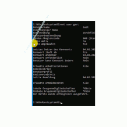 Windows 10 Tutorial - So aktivierst und speicherst du die Option: Kennwortgeschütztes Freigeben ausschalten! - Die Informationen über den Benutzer Gast per Befehl net user gast aufrufen 
