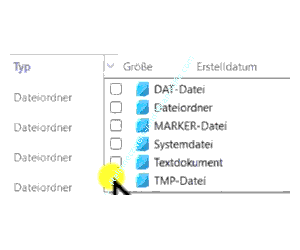 Einschränkung der im Explorer angezeigten Dateien über die Spaltenoptionen