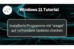 Mit winget Updates von installierten Programmen verwalten