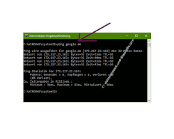 Ping-Anfragen in der Windows Firewall zulassen – Der Ping-Befehl an eine Webadresse
