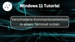 Verschiedene Kommandozeilentoos in einem Terminal nutzen