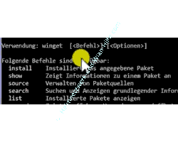 Winget auf der Kommandozeile ausführen